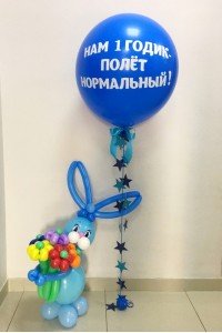 Набор на день рождения "Полет нормальный"